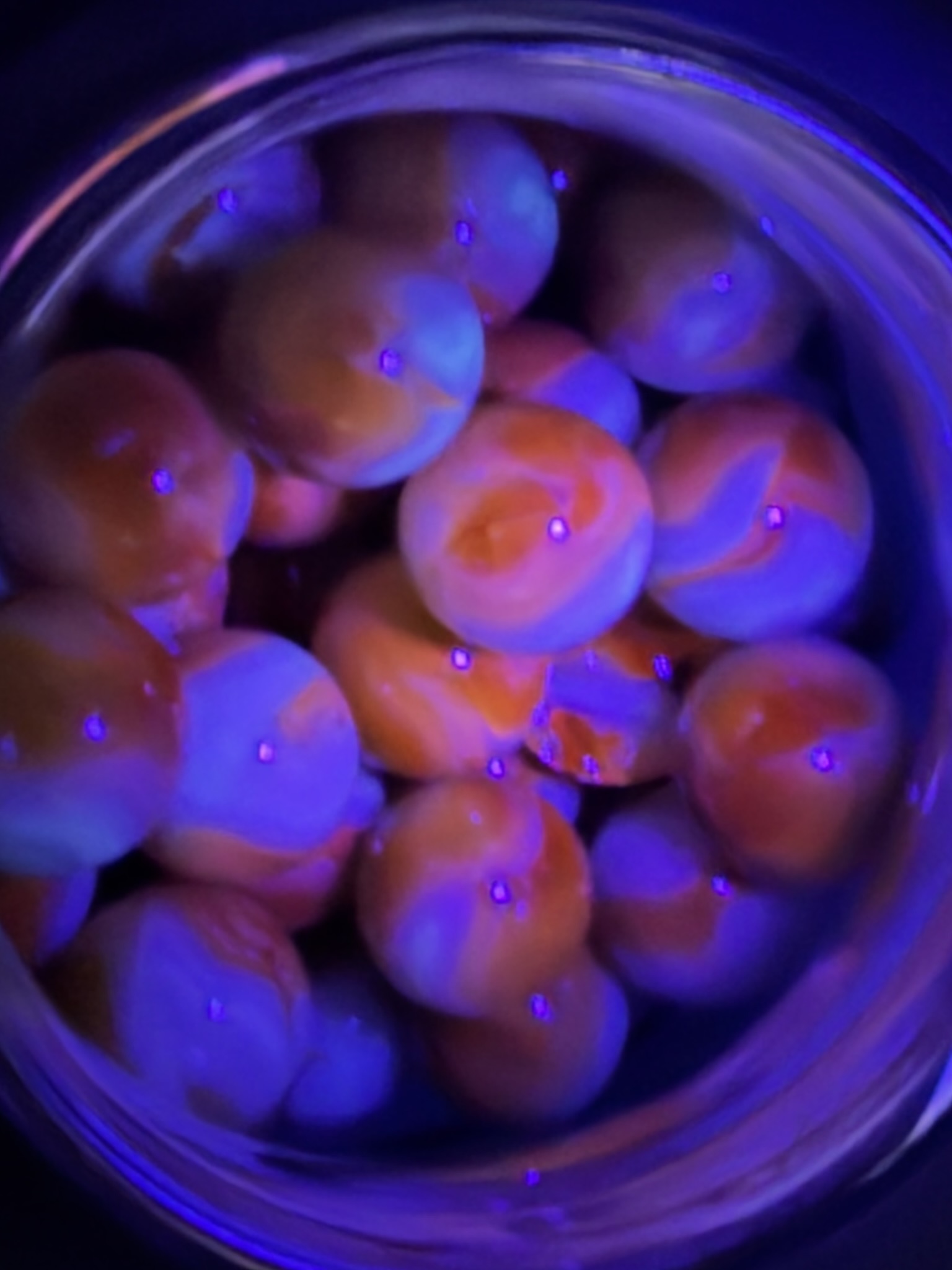 Jabo Special Run marbles